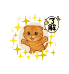 『スコティッシュフォールド』の猫スタンプ（個別スタンプ：23）