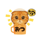 『スコティッシュフォールド』の猫スタンプ（個別スタンプ：24）