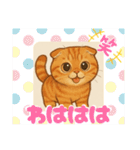 『スコティッシュフォールド』の猫スタンプ（個別スタンプ：26）