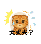 『スコティッシュフォールド』の猫スタンプ（個別スタンプ：28）