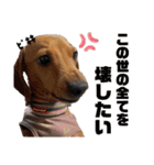 犬ちゃんのスタンプ5（個別スタンプ：4）