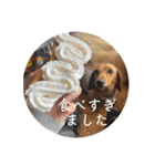 犬ちゃんのスタンプ5（個別スタンプ：9）