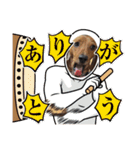 犬ちゃんのスタンプ5（個別スタンプ：33）