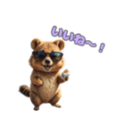 愛らしいクオッカ5（日本語）（個別スタンプ：1）