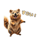愛らしいクオッカ5（日本語）（個別スタンプ：2）