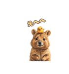 愛らしいクオッカ5（日本語）（個別スタンプ：7）