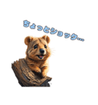 愛らしいクオッカ5（日本語）（個別スタンプ：8）