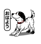 ポインターの「オレオ」（個別スタンプ：1）