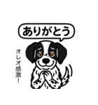 ポインターの「オレオ」（個別スタンプ：2）