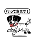 ポインターの「オレオ」（個別スタンプ：3）