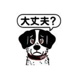 ポインターの「オレオ」（個別スタンプ：11）