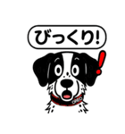 ポインターの「オレオ」（個別スタンプ：12）