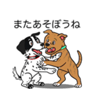 ポインターの「オレオ」（個別スタンプ：13）