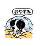 ポインターの「オレオ」（個別スタンプ：14）