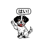 ポインターの「オレオ」（個別スタンプ：15）