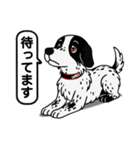 ポインターの「オレオ」（個別スタンプ：19）