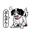ポインターの「オレオ」（個別スタンプ：20）