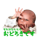 蒼晴 スタンプ1（個別スタンプ：8）