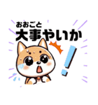 土佐弁わんこの毎日3（個別スタンプ：5）