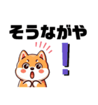 土佐弁わんこの毎日3（個別スタンプ：8）