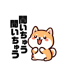 土佐弁わんこの毎日3（個別スタンプ：15）