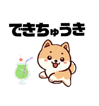 土佐弁わんこの毎日3（個別スタンプ：34）