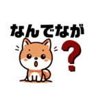 土佐弁わんこの毎日3（個別スタンプ：38）