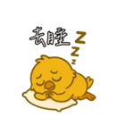 シラフなヒヨコ_01（個別スタンプ：19）