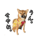 違いわかる？（個別スタンプ：5）