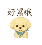 かわいいクリームいぬのミミちゃん1（個別スタンプ：9）