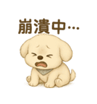 かわいいクリームいぬのミミちゃん1（個別スタンプ：20）