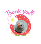 文鳥ともふもふ（個別スタンプ：3）