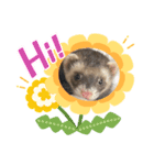 ハッピーフェレット（個別スタンプ：8）