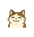 うちの4匹の猫たち-飛飛・寶貝・柚柚・咪咪（個別スタンプ：11）