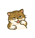 うちの4匹の猫たち-飛飛・寶貝・柚柚・咪咪（個別スタンプ：12）