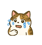 うちの4匹の猫たち-飛飛・寶貝・柚柚・咪咪（個別スタンプ：13）