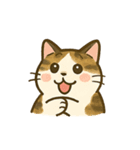 うちの4匹の猫たち-飛飛・寶貝・柚柚・咪咪（個別スタンプ：16）