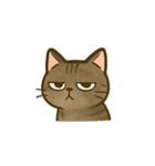 うちの4匹の猫たち-飛飛・寶貝・柚柚・咪咪（個別スタンプ：18）