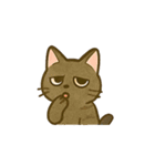 うちの4匹の猫たち-飛飛・寶貝・柚柚・咪咪（個別スタンプ：19）