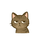 うちの4匹の猫たち-飛飛・寶貝・柚柚・咪咪（個別スタンプ：20）
