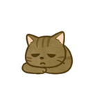 うちの4匹の猫たち-飛飛・寶貝・柚柚・咪咪（個別スタンプ：21）