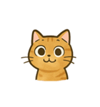 うちの4匹の猫たち-飛飛・寶貝・柚柚・咪咪（個別スタンプ：29）