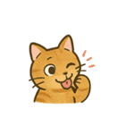 うちの4匹の猫たち-飛飛・寶貝・柚柚・咪咪（個別スタンプ：30）