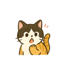 うちの4匹の猫たち-飛飛・寶貝・柚柚・咪咪（個別スタンプ：31）