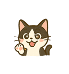 うちの4匹の猫たち-飛飛・寶貝・柚柚・咪咪（個別スタンプ：33）