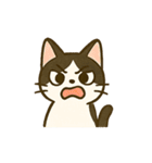 うちの4匹の猫たち-飛飛・寶貝・柚柚・咪咪（個別スタンプ：34）