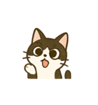 うちの4匹の猫たち-飛飛・寶貝・柚柚・咪咪（個別スタンプ：35）
