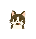 うちの4匹の猫たち-飛飛・寶貝・柚柚・咪咪（個別スタンプ：36）