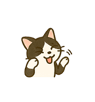 うちの4匹の猫たち-飛飛・寶貝・柚柚・咪咪（個別スタンプ：37）