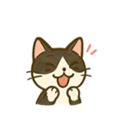 うちの4匹の猫たち-飛飛・寶貝・柚柚・咪咪（個別スタンプ：40）